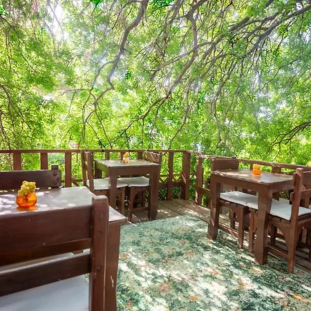 Cesmekes 3* Cesme